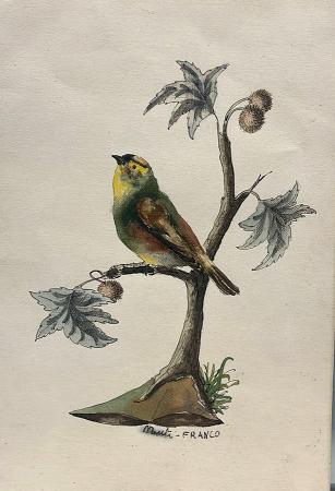 Art work by Franco  Nuti  la sosta dell'uccellino - watercolor paper 